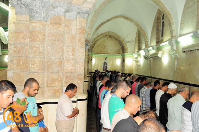 trawe7 ramla kaber (18).JPG